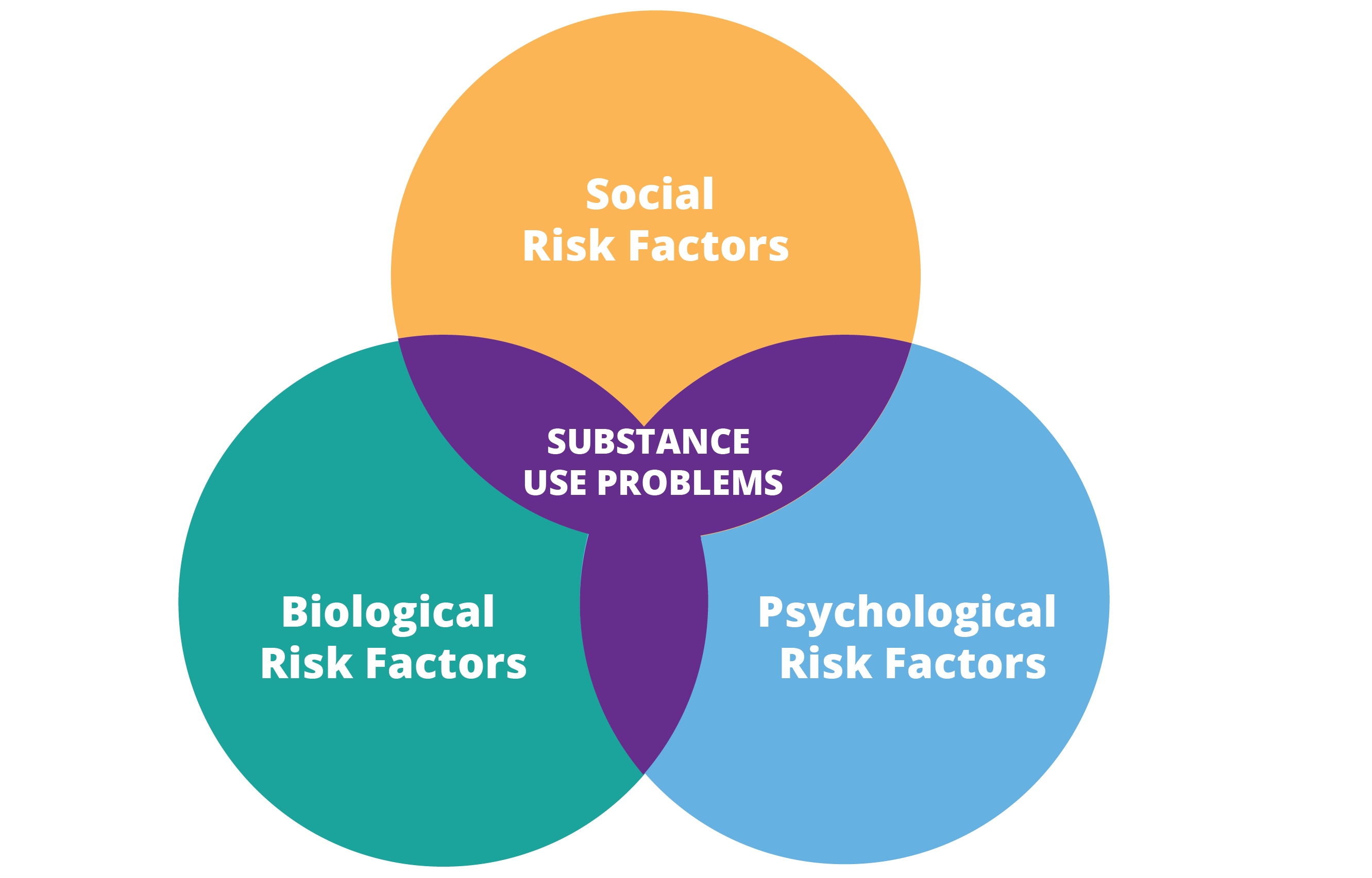 1 Understanding Substance Use Problems And Addiction The Biopsychosocial Model Of Substance Use Problems